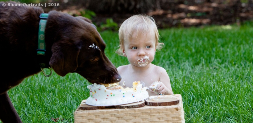 First Birthday Photography